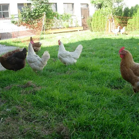 Agroturismo Hüttschmiedhof Kössen