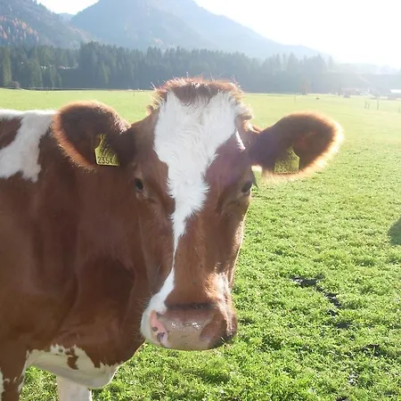 Huettschmiedhof Кёссен