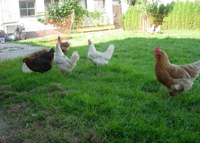 Κατάλυμα σε φάρμα Huettschmiedhof Kössen