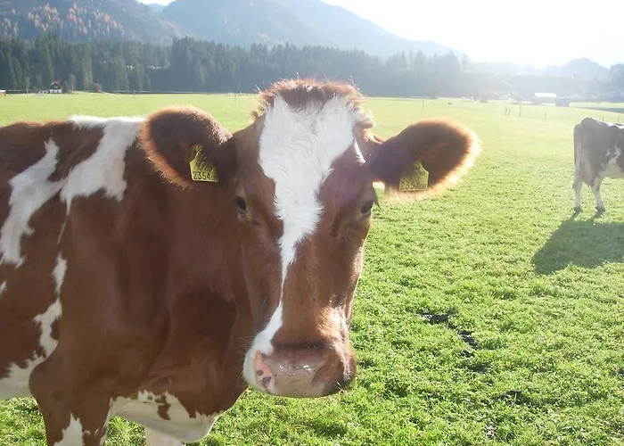 Huettschmiedhof Kössen