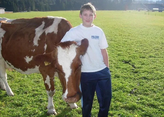 Κατάλυμα σε φάρμα Huettschmiedhof Kössen