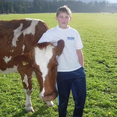 Gospodarstwo agroturystyczne Huettschmiedhof Kössen